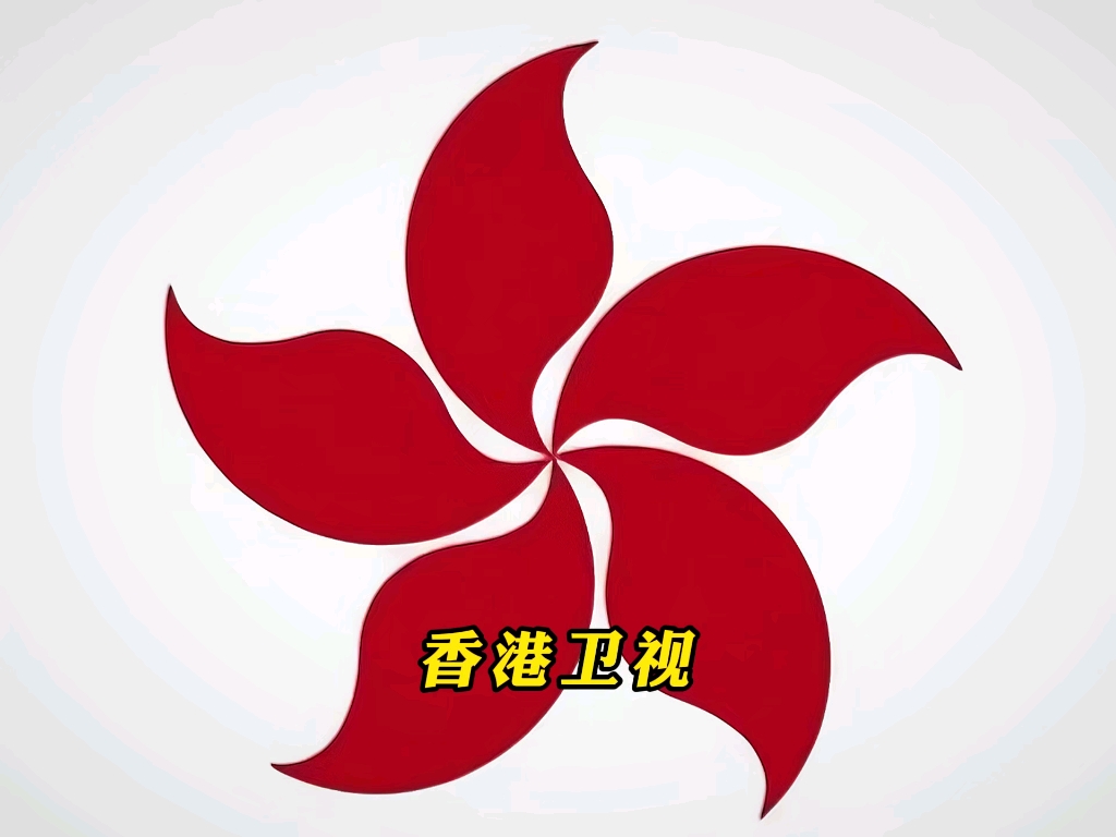 香港电视安卓下载-(香港电视台下载安装)