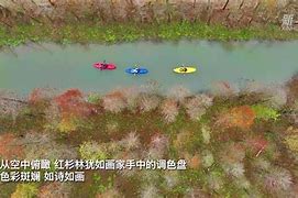林尽染傅墨寒免费阅读_(夏枝季言清全文免费阅读)