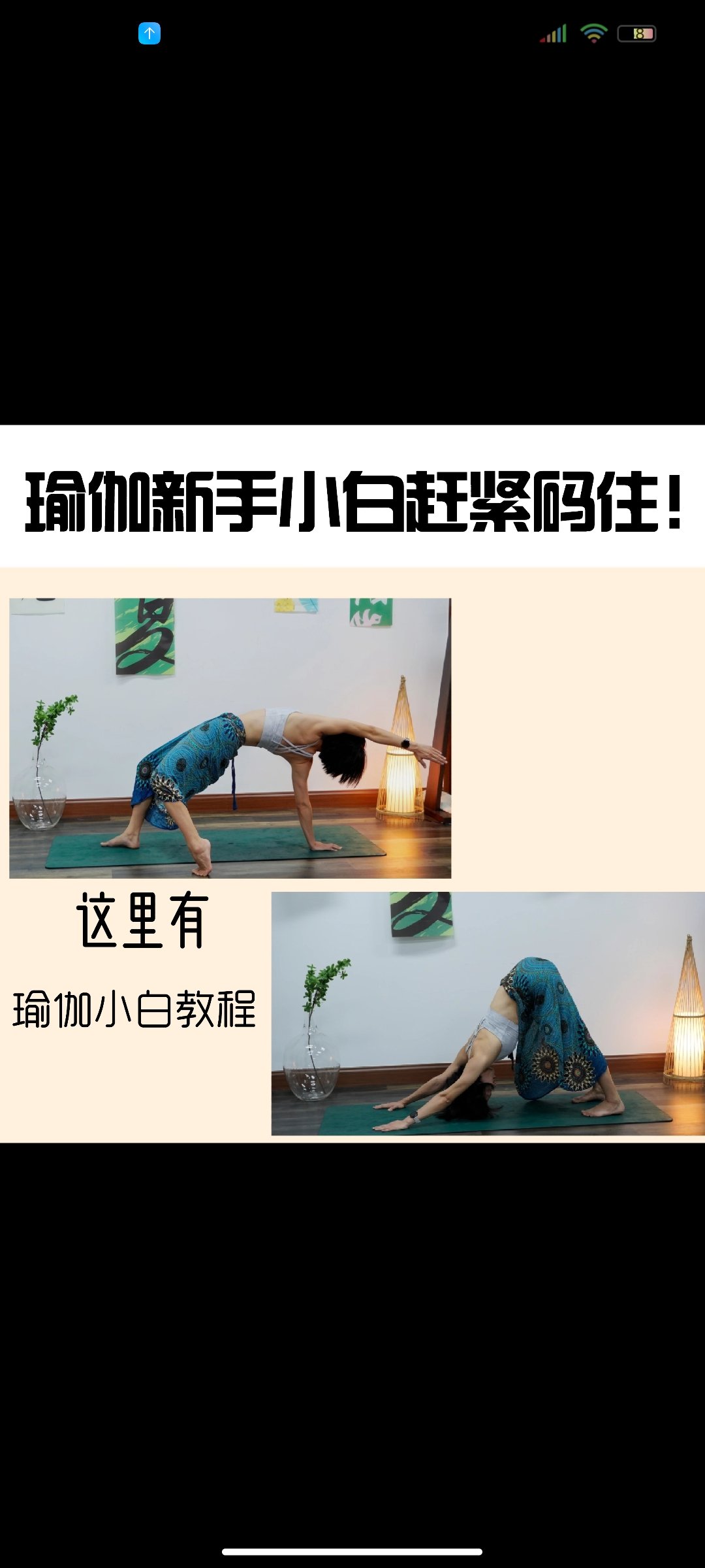 瑜伽视频教程免费下载高清-(瑜伽视频教程免费下载高清版)