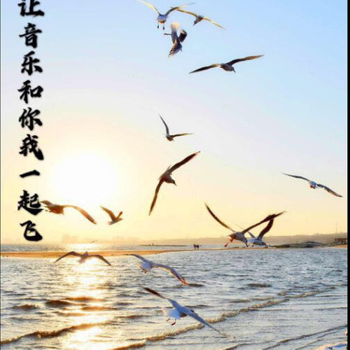 飞mp3下载_(飞原唱下载)