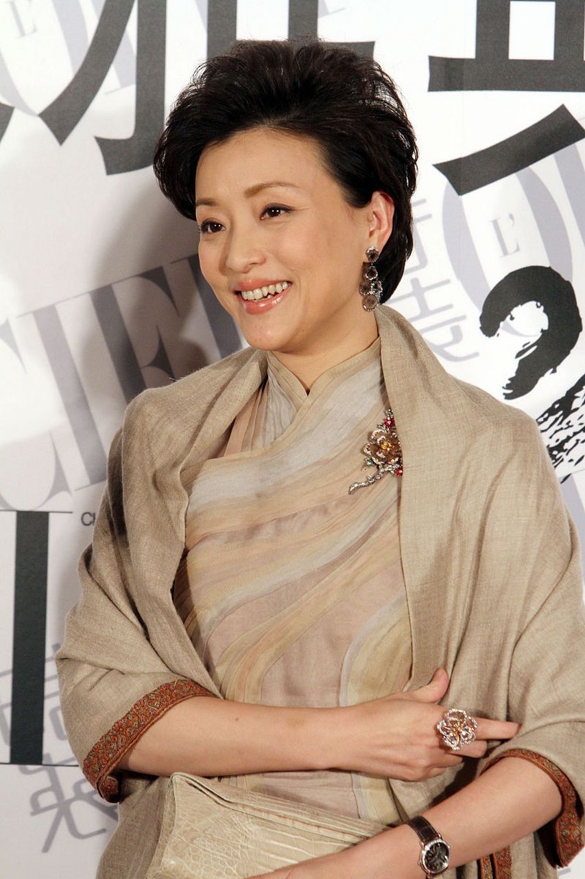 杨澜个人介绍视频下载-(杨澜个人介绍视频下载软件)